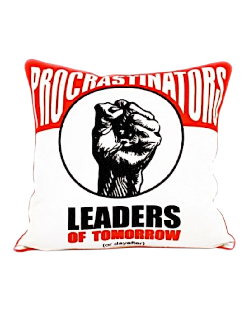 Housse de coussin - modèle Leaders