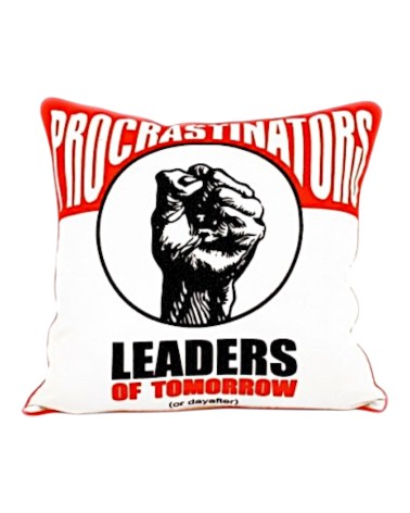 Housse de coussin - modèle Leaders